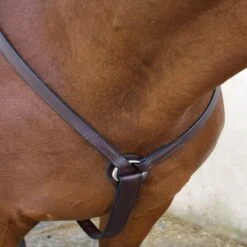 Nunn Finer 3-Way Hunting Breastplate - Havana/Zinc 10 Nunn Finer 3-Way Hunting Breastplate - Havana/Zinc -Equestrian Supply Shop 399816 800 800