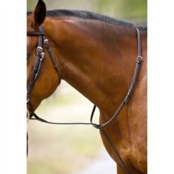 Nunn Finer Standing Martingale - Black/Zinc 5 Nunn Finer Standing Martingale - Black/Zinc -Equestrian Supply Shop 402577 800 800