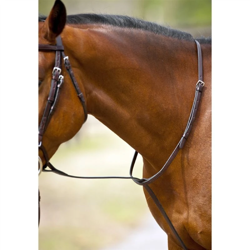 Nunn Finer Standing Martingale - Black/Zinc 3 Nunn Finer Standing Martingale - Black/Zinc - Image 3