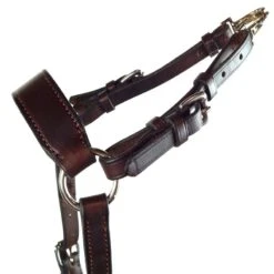 Nunn Finer 5-Way Hunting Breastplate - Havana/Brass -Equestrian Supply Shop 402762 800 800