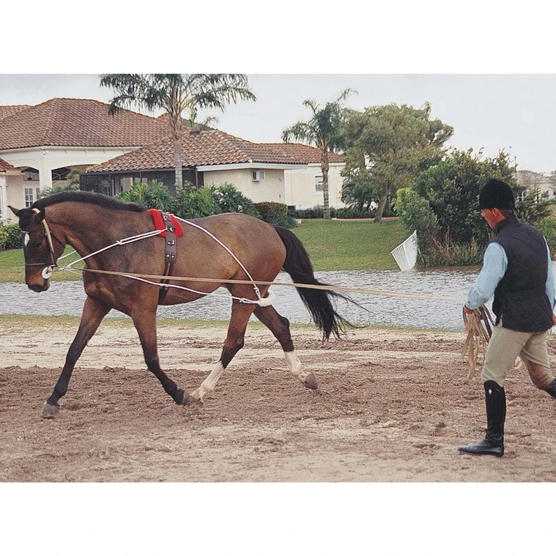Pessoa Lunging System - Natural 1 Pessoa Lunging System - Natural