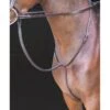 Shires Rossano Standing Martingale - Havana