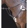 Shires Rossano 5-Point Breastplate - Havana