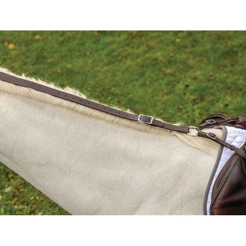 Shires Avignon Daisy Rein - Havana 1 Shires Avignon Daisy Rein - Havana