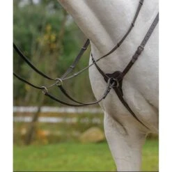 Shires Avignon Three Point Breastplate - Black