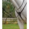 Shires Avignon Three Point Breastplate - Havana