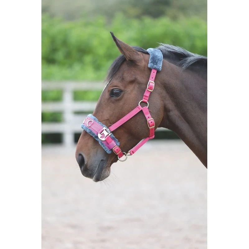 Shires Fleece Lined Lunge Cavesson - Pink 1 Shires Fleece Lined Lunge Cavesson - Pink