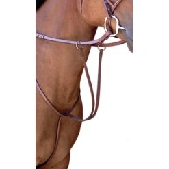 Passport Plain Raised Running Martingale - Mahogany