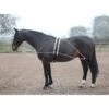 Shires Lunging Aid - Black