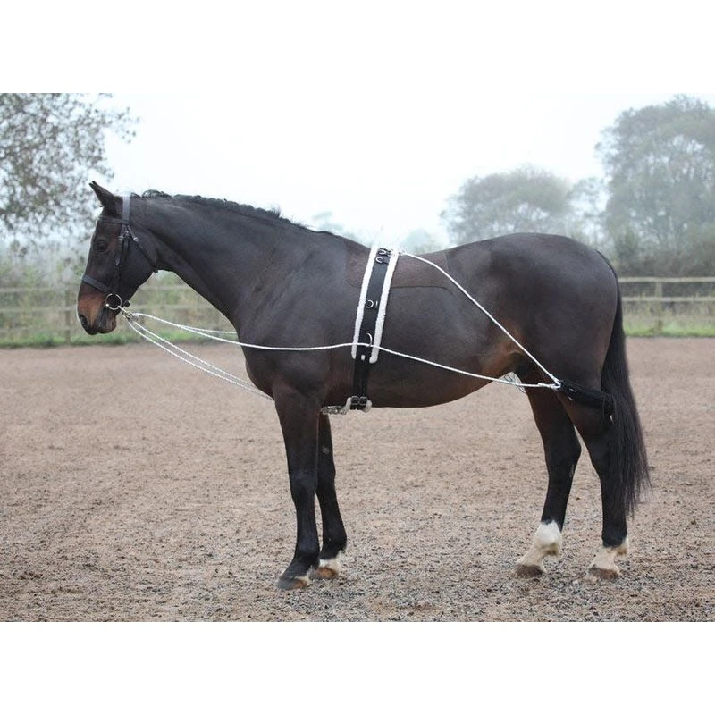 Shires Lunging Aid - Black 1 Shires Lunging Aid - Black