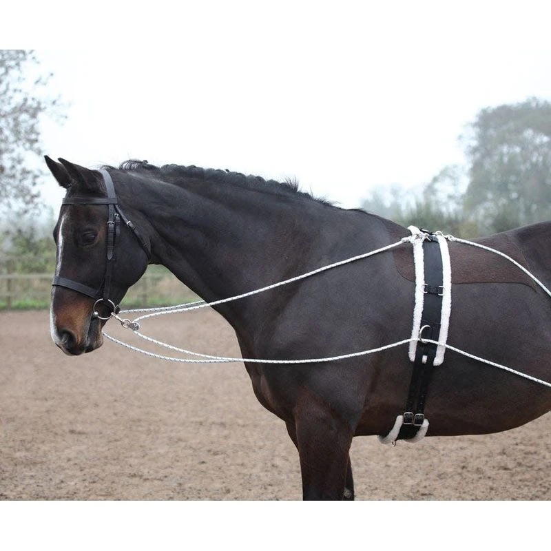 Shires Lunging Aid - Black 2 Shires Lunging Aid - Black - Image 2
