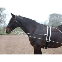 Shires Lunging Aid - Black 7 Shires Lunging Aid - Black -Equestrian Supply Shop 553778 800 800