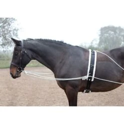 Shires Lunging Aid - Black 8 Shires Lunging Aid - Black -Equestrian Supply Shop 553779 800 800