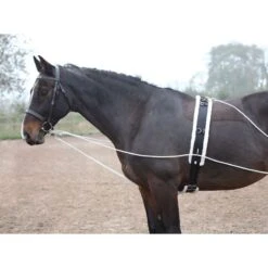 Shires Lunging Aid - Black 9 Shires Lunging Aid - Black -Equestrian Supply Shop 553780 800 800