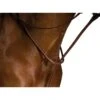 Kincade Raised Martingale Standing - Brown