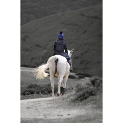 Shires Aubrion Women's Halcyon Long Waterproof Coat - Black -Equestrian Supply Shop 690392 800 800