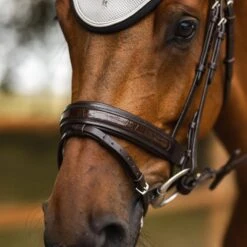 Horze Smoky Twilight Anatomic Bridle W/Curved Browband - Dark Brown 5 Horze Smoky Twilight Anatomic Bridle W/Curved Browband - Dark Brown -Equestrian Supply Shop 695998 800 800