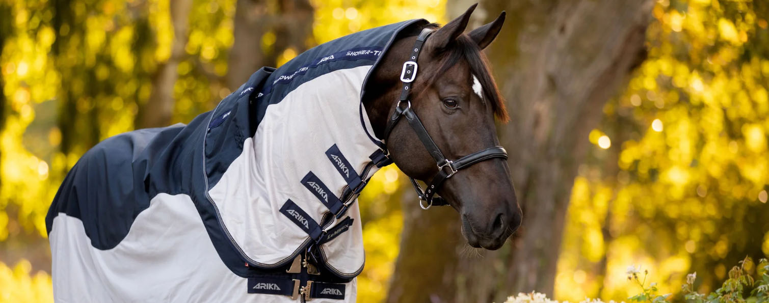 Equestrian Supply Shop -Equestrian Supply Shop CFBHCFGH