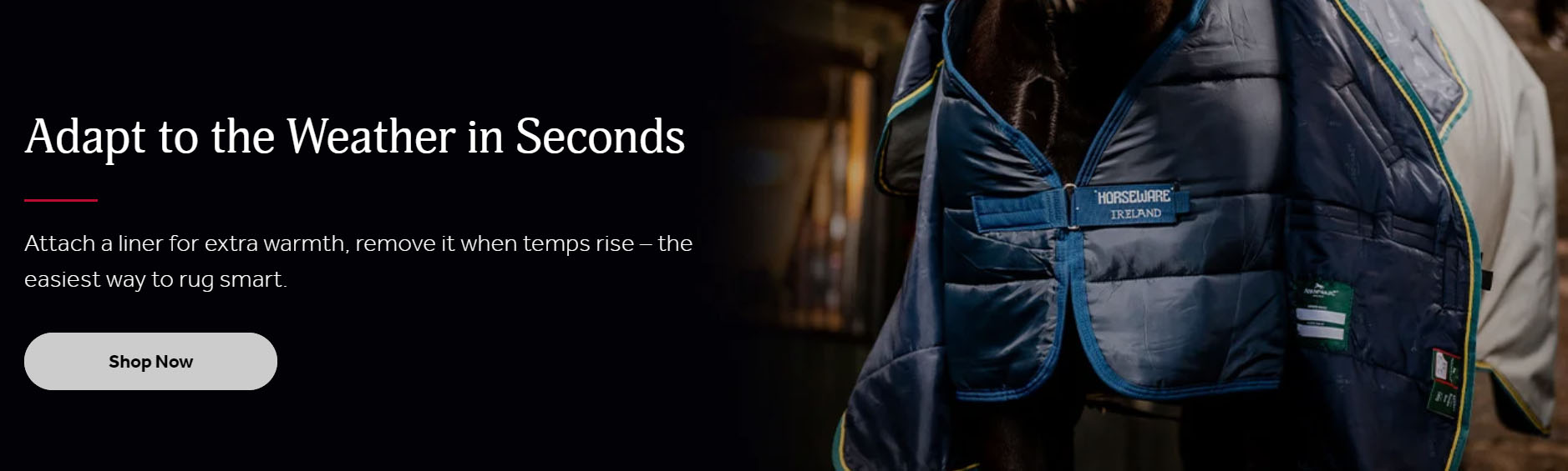 Equestrian Supply Shop -Equestrian Supply Shop CFHH